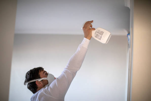 Best Mold Cleaning Services  in Diamond Bar, CA
