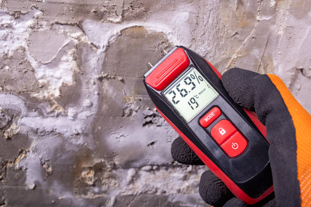 Office Mold Removal Services in Diamond Bar, CA
