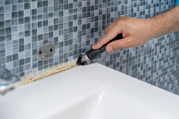 Best Mold Remediation  in Diamond Bar, CA