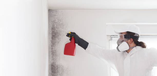 Best Residential Mold Removal  in Diamond Bar, CA